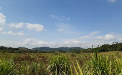 Fazenda à venda com 3 quartos, 110000m² - Foto 18