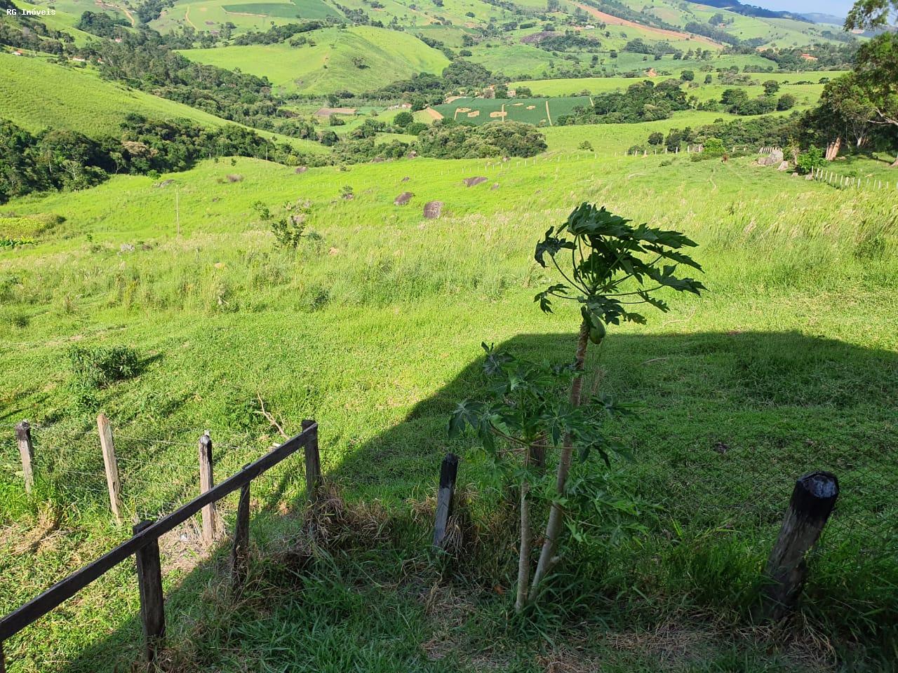 Fazenda à venda com 2 quartos, 220m² - Foto 22