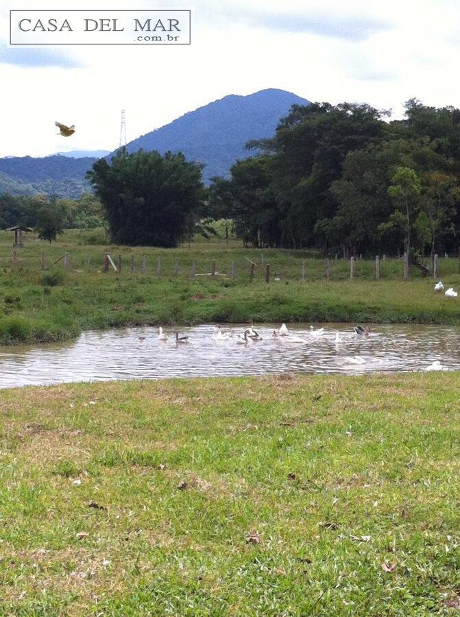 Fazenda à venda com 5 quartos, 160m² - Foto 20