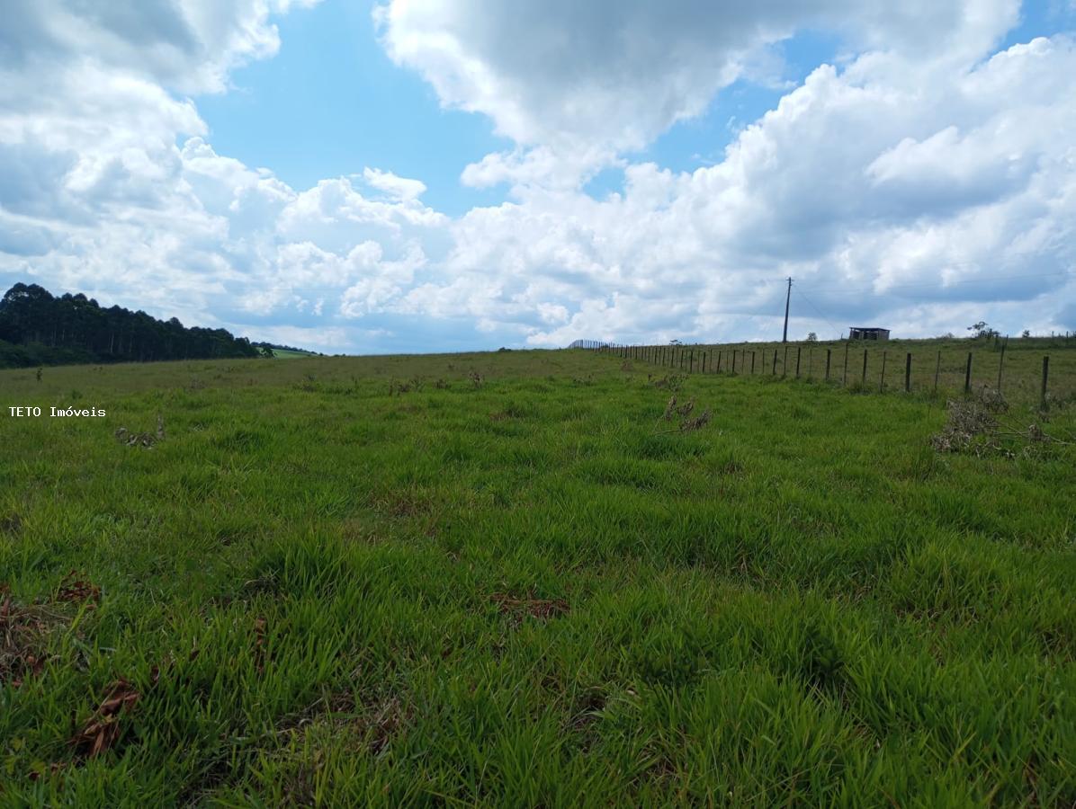 Fazenda à venda com 2 quartos, 25000m² - Foto 32