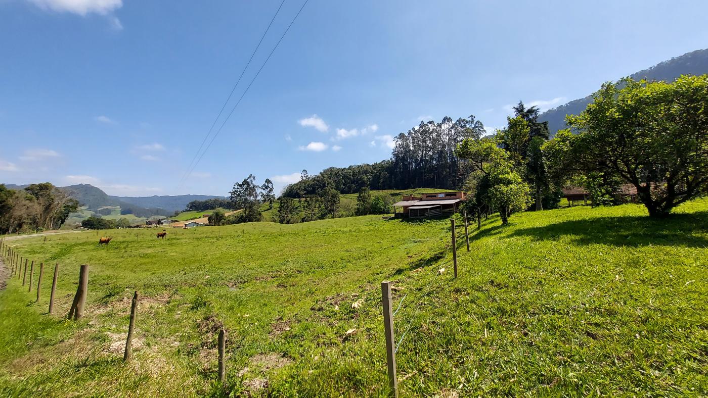 Fazenda à venda com 4 quartos, 101500m² - Foto 26