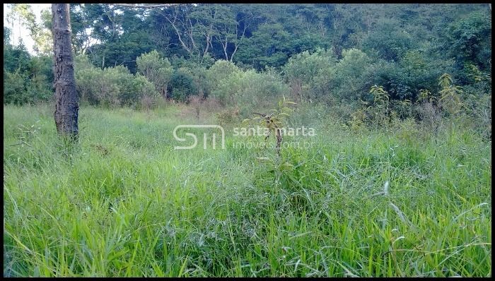 Fazenda à venda, 500m² - Foto 14