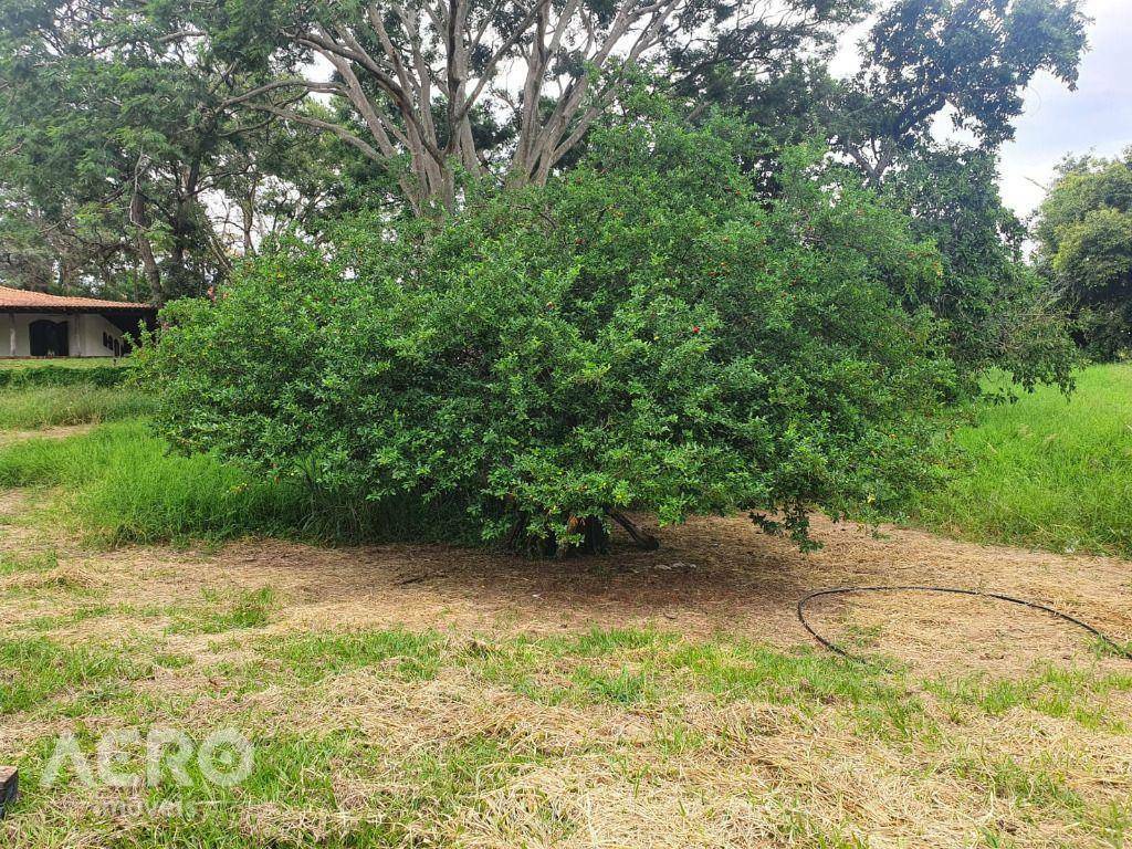 Chácara à venda com 4 quartos, 590m² - Foto 37