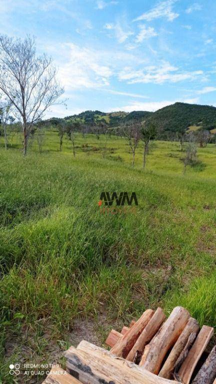 Fazenda à venda, 2444000M2 - Foto 11