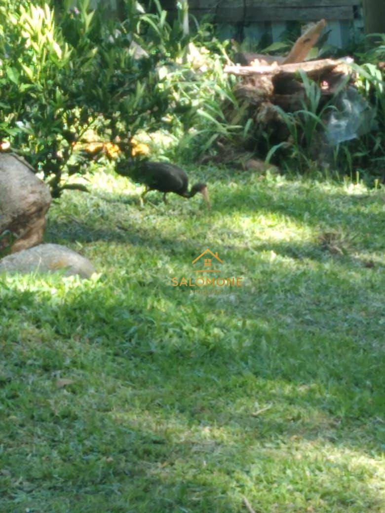 Casa, 4 quartos, 300 m² - Foto 5