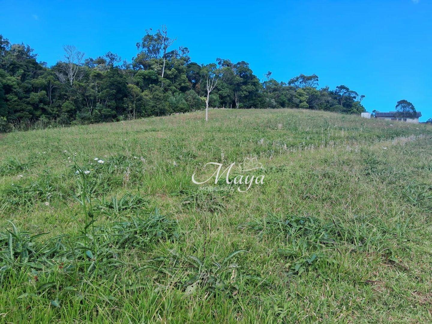 Terreno à venda, 2000M2 - Foto 12