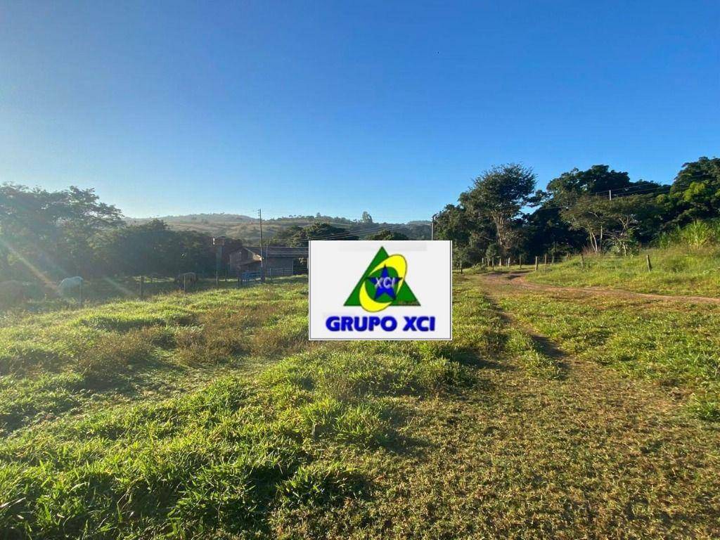 Fazenda-Sítio-Chácara, 691 hectares - Foto 5