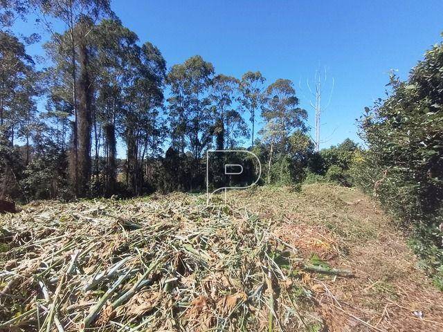 Loteamento e Condomínio, 1403 m² - Foto 3