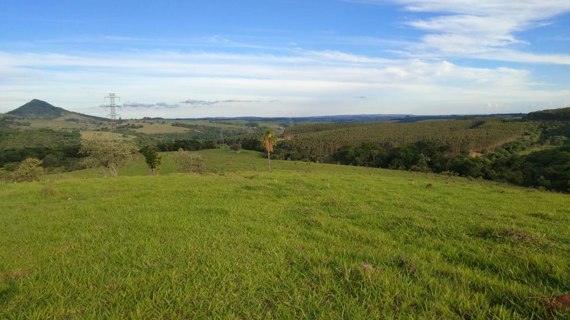 Fazenda à venda - Foto 11