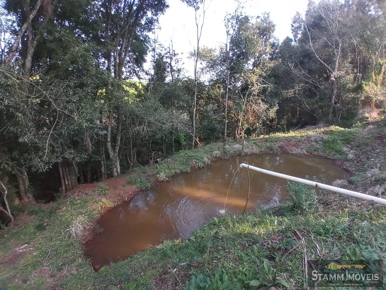 Fazenda à venda com 4 quartos, 3m² - Foto 40