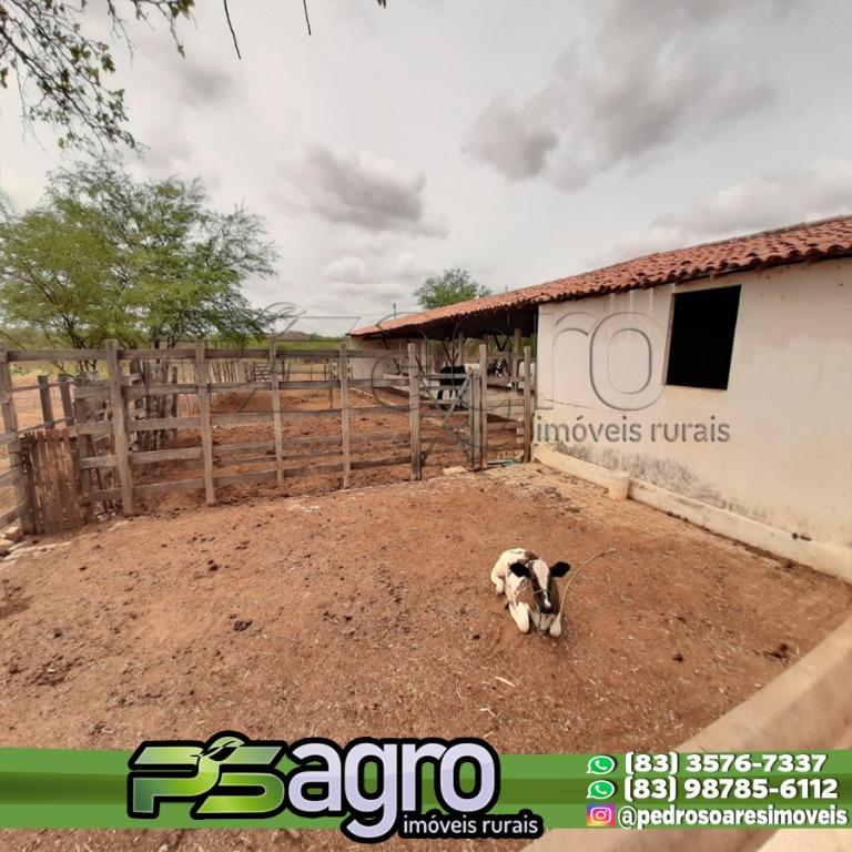 Fazenda-Sítio-Chácara, 190 hectares - Foto 4