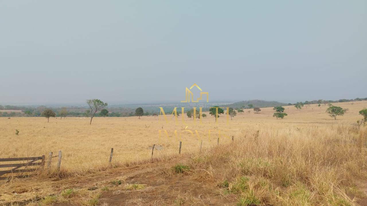 Fazenda à venda com 3 quartos, 3930000M2 - Foto 3