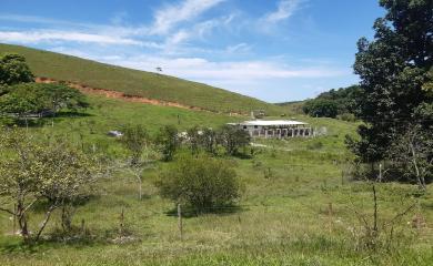 Fazenda à venda com 2 quartos, 145000m² - Foto 14