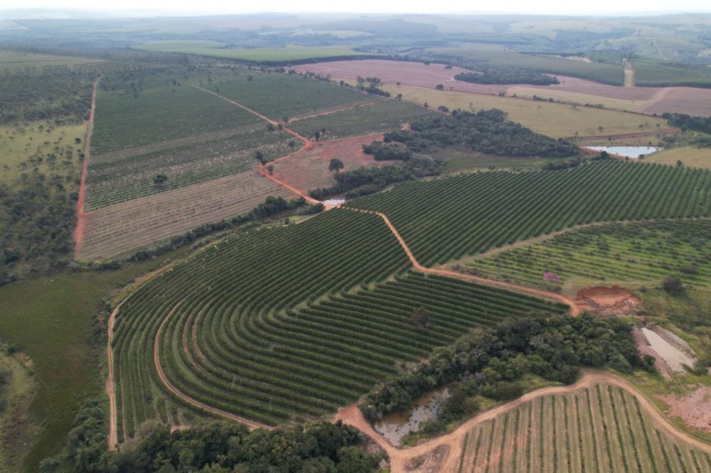 Fazenda à venda, 170m² - Foto 1