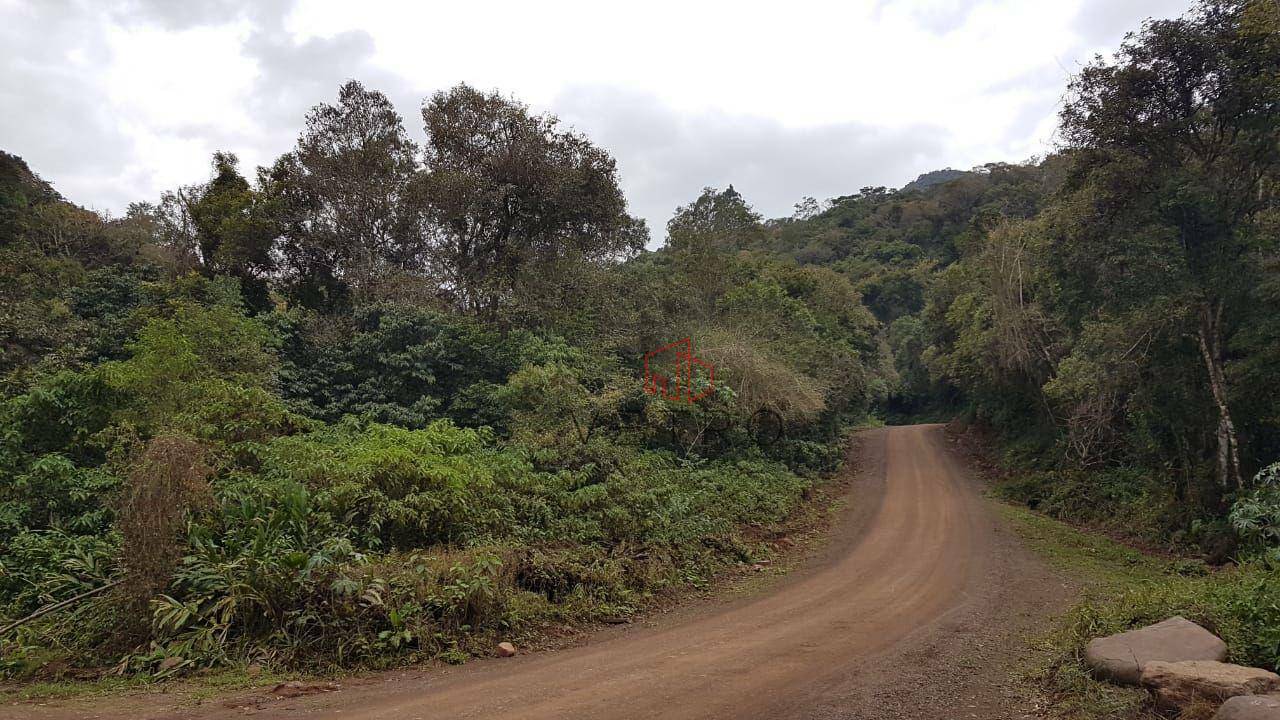 Sítio à venda, 55000M2 - Foto 9