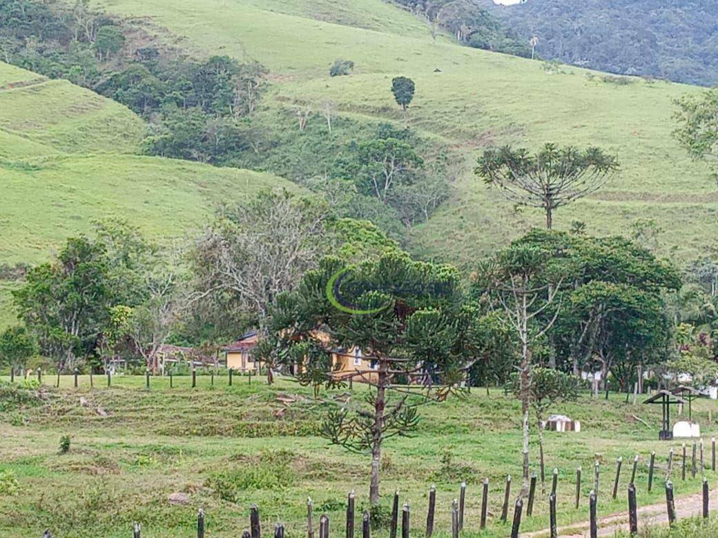 Fazenda à venda com 2 quartos, 1355200M2 - Foto 14