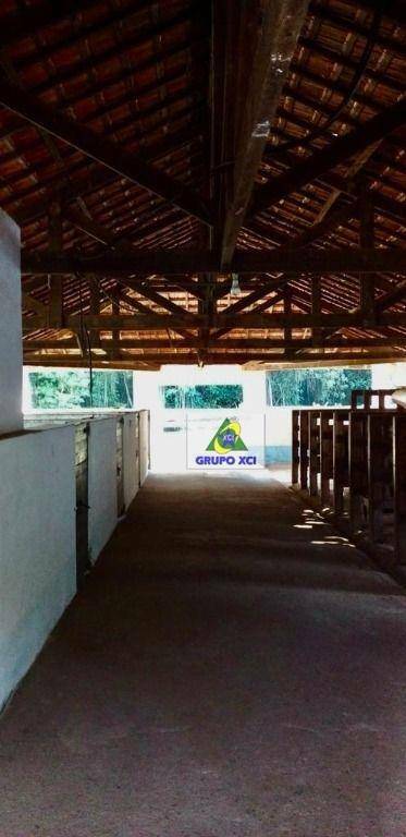 Haras e Área Rural Padrão à venda com 16 quartos, 300000M2 - Foto 58