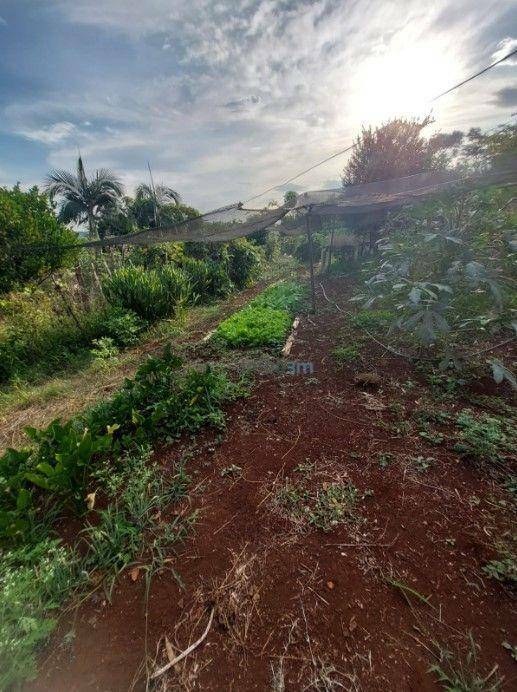 Chácara à venda com 3 quartos, 300m² - Foto 34