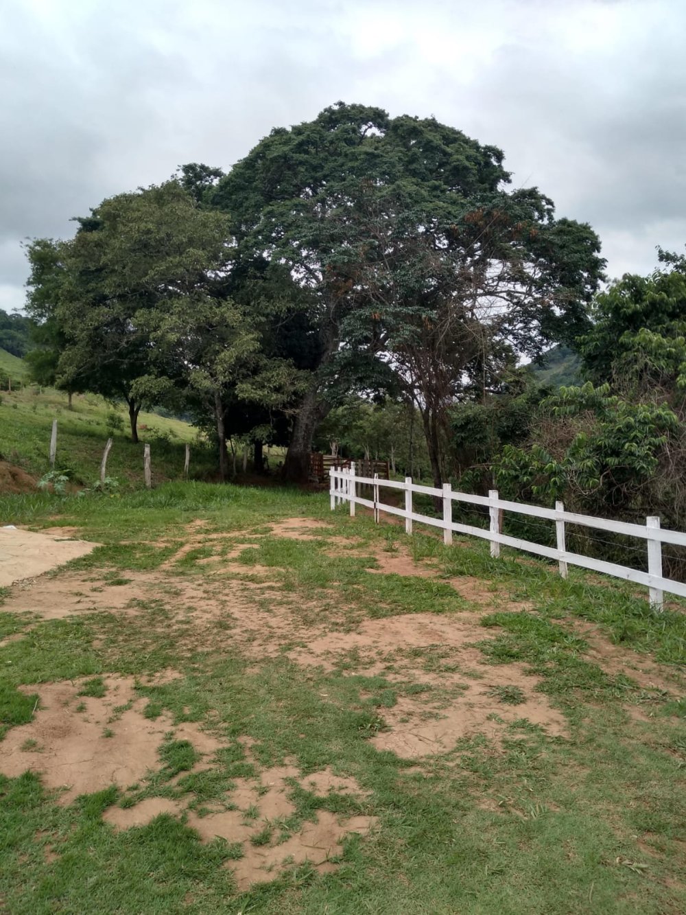 Sítio à venda com 3 quartos, 59m² - Foto 12