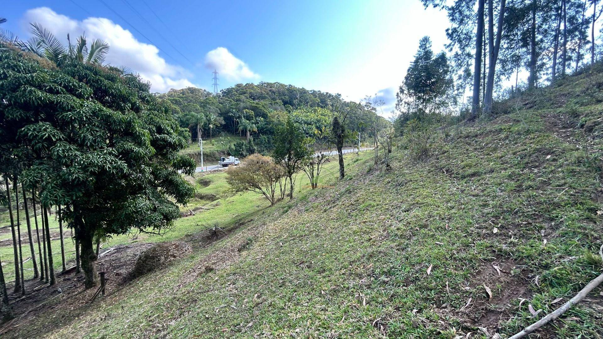 Sítio, 10000 m² - Foto 16