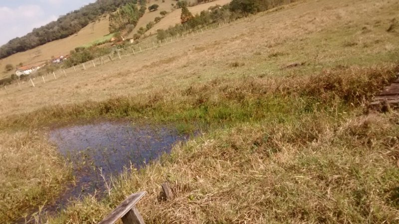 Fazenda à venda com 3 quartos, 50m² - Foto 6