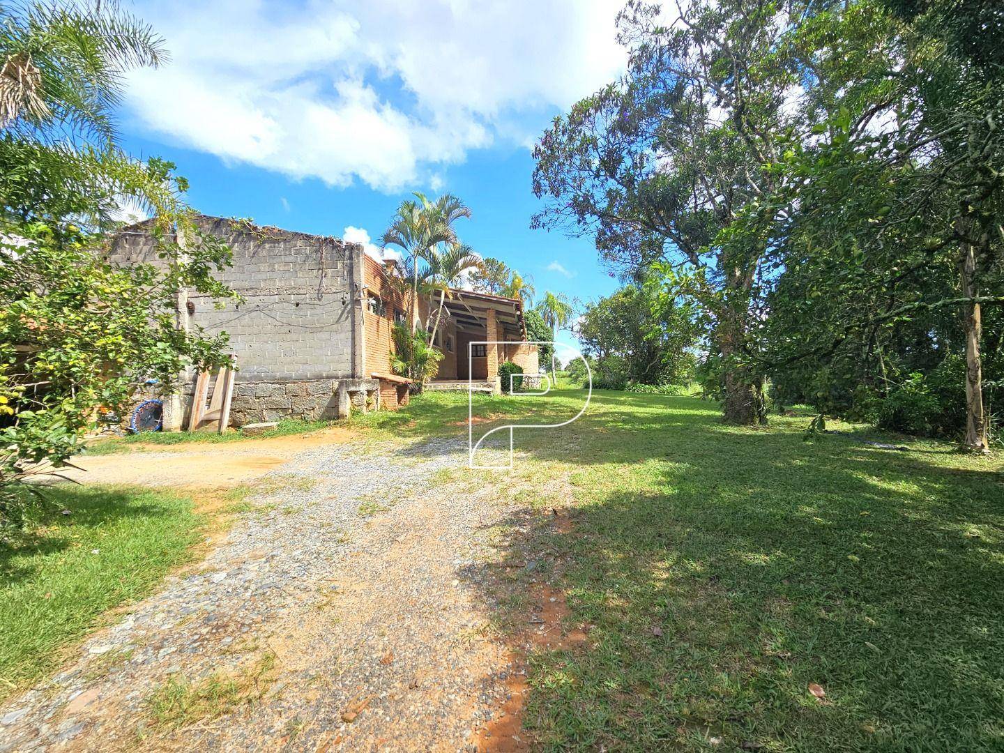 Terreno, 4 hectares - Foto 4