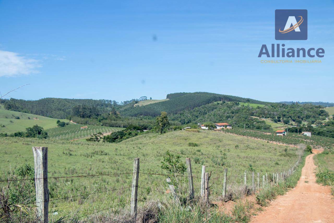 Sítio, 6 hectares - Foto 7