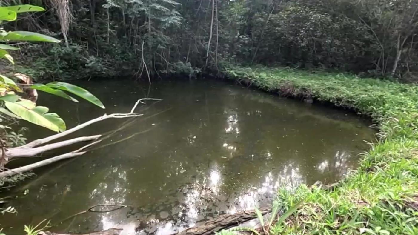 Casa de Condomínio à venda com 3 quartos, 3800m² - Foto 5