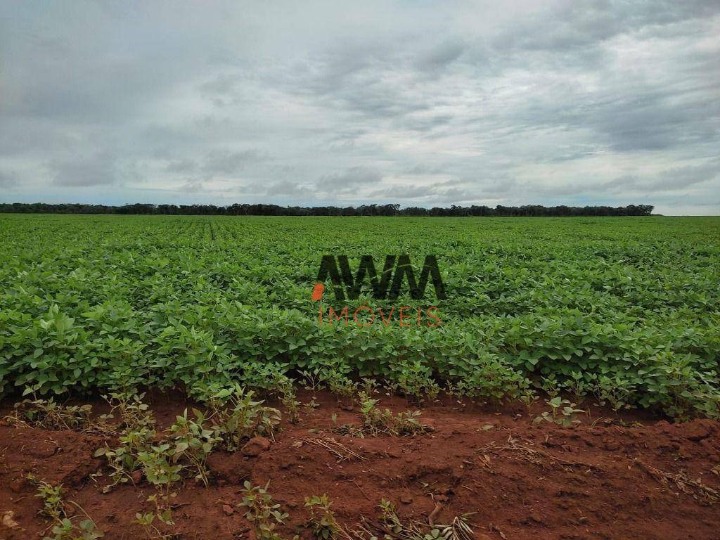 Fazenda à venda, 100000000M2 - Foto 15