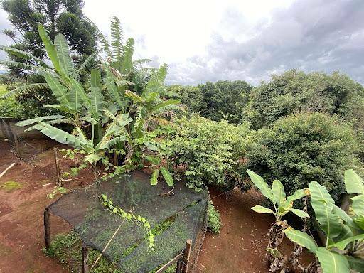 Chácara à venda com 2 quartos, 1120M2 - Foto 13