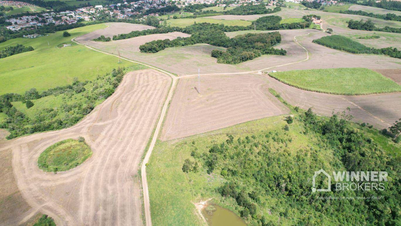 Fazenda, 290 hectares - Foto 2