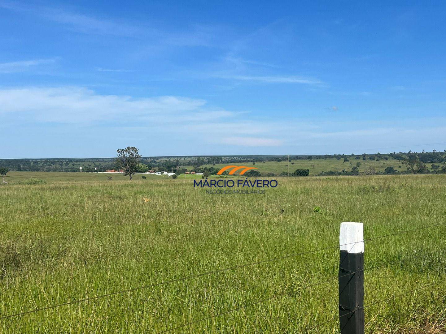 Fazenda, 322 hectares - Foto 17