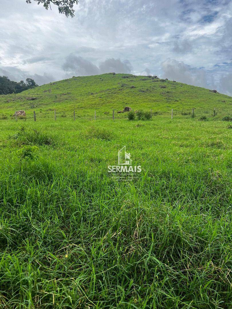 Fazenda à venda, 5445000M2 - Foto 11