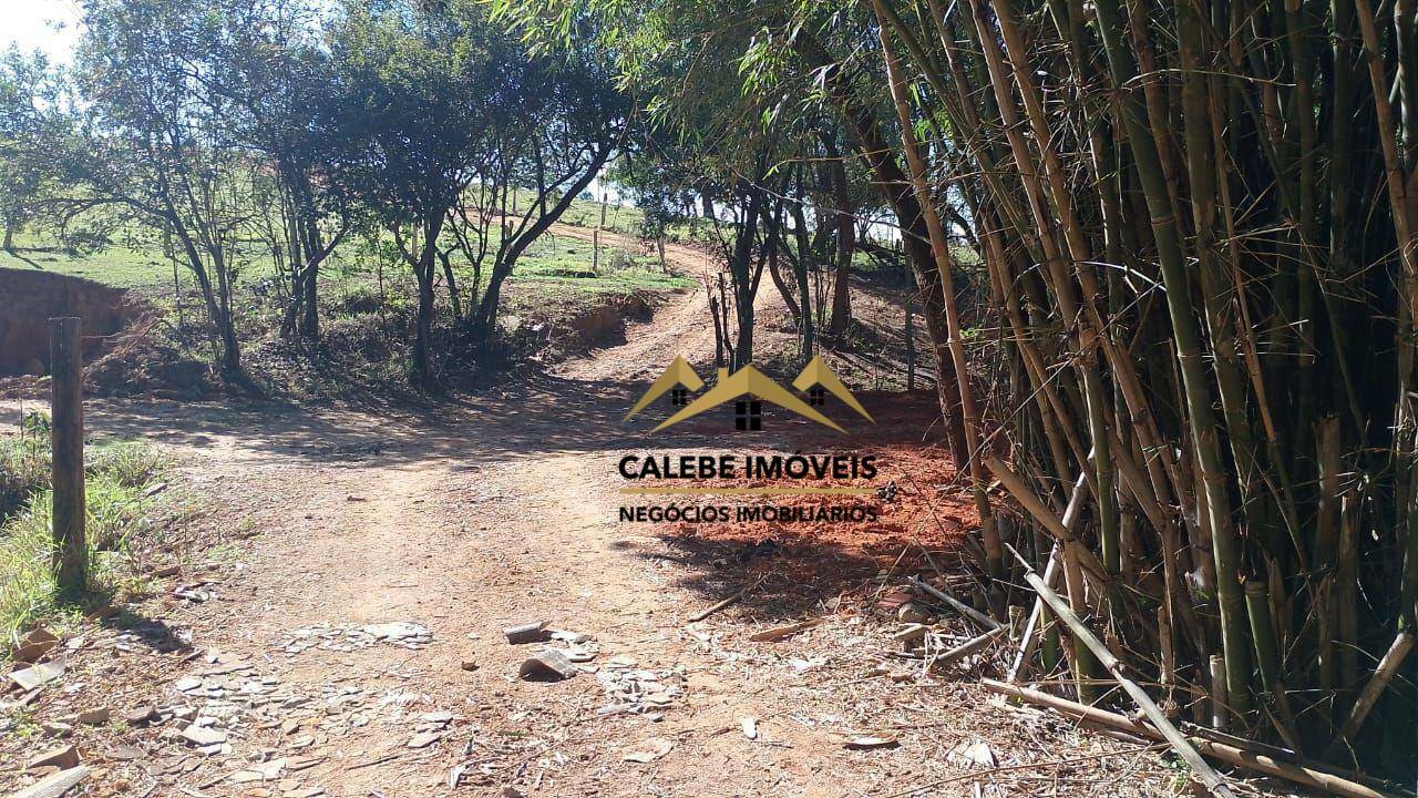 Chácara à venda com 1 quarto, 5000M2 - Foto 12