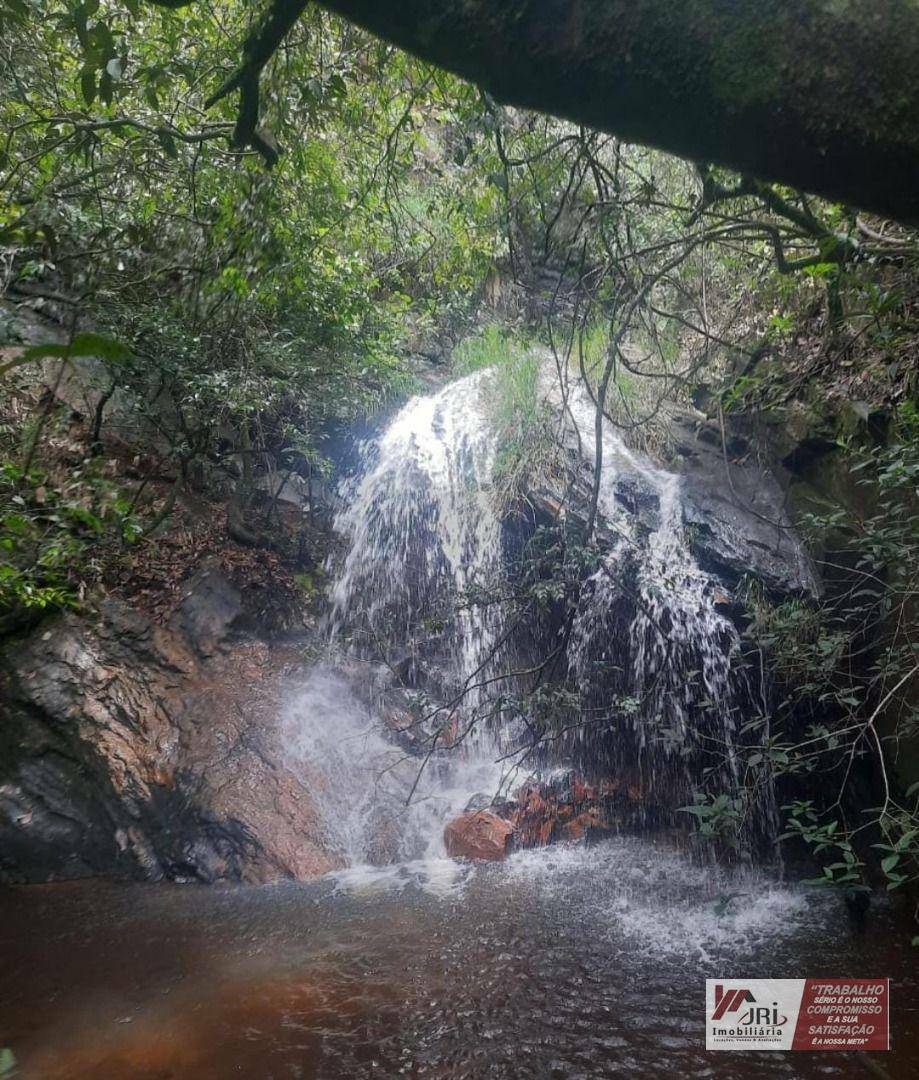 Chácara à venda, 80000M2 - Foto 4