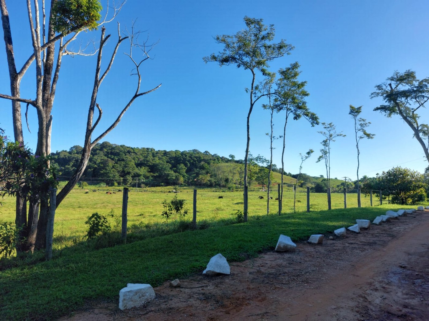 Fazenda à venda com 4 quartos, 34m² - Foto 28