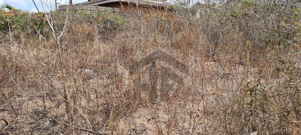 Terreno, 1000 m² - Foto 5