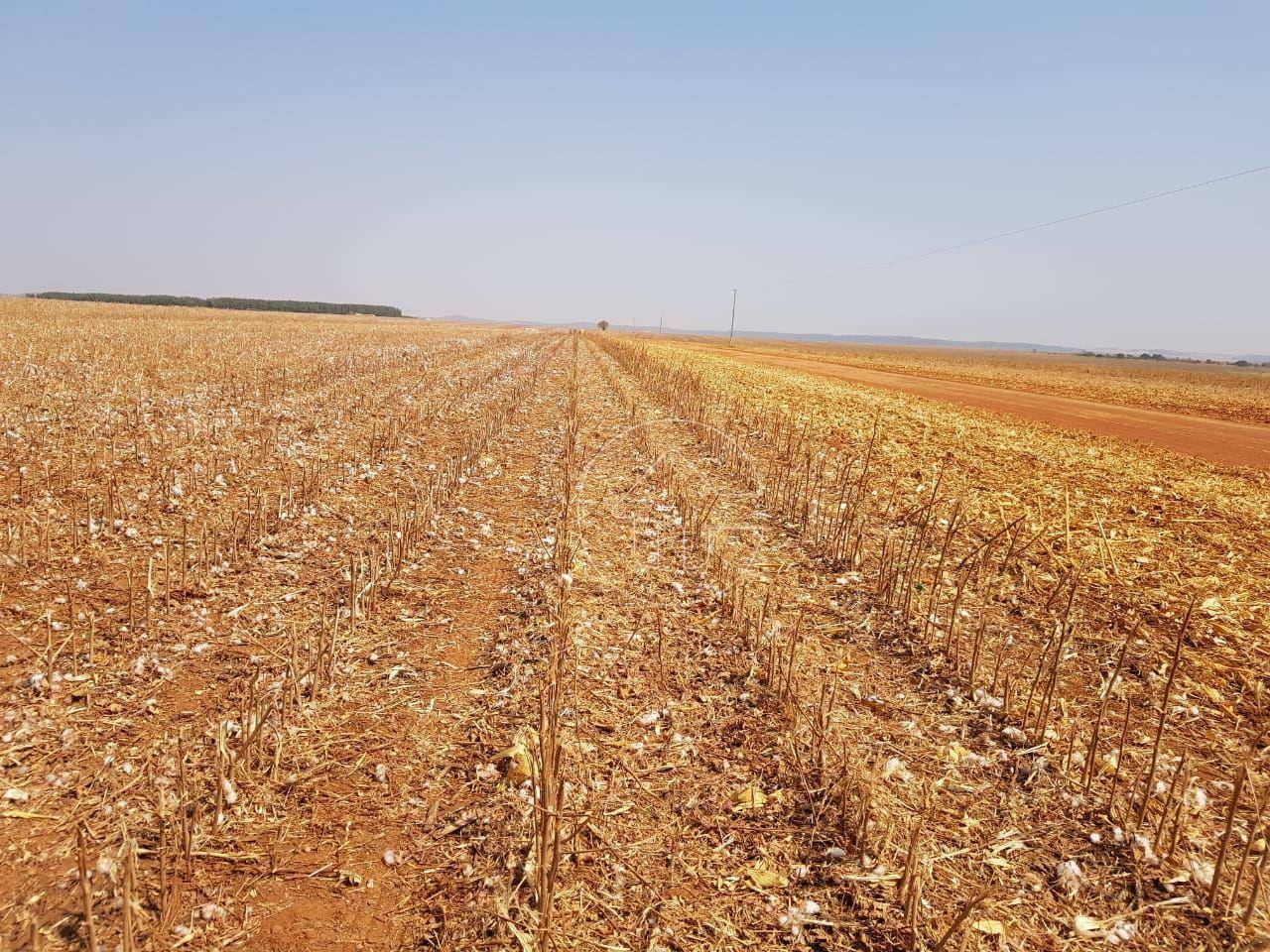 Fazenda à venda, 170000000M2 - Foto 18