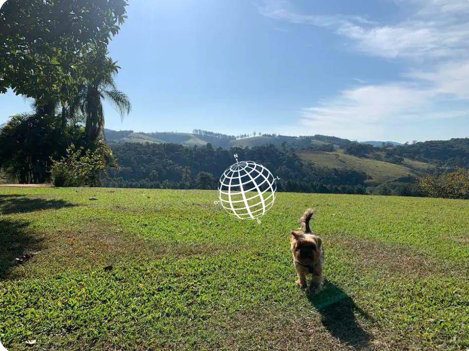 Chácara, 9 quartos, 10000 m² - Foto 4