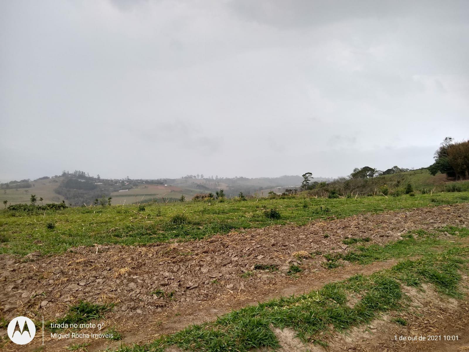 Fazenda à venda com 8 quartos, 3146000m² - Foto 14