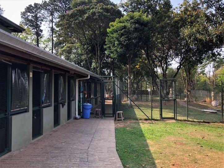 Sobrado à venda com 4 quartos, 800m² - Foto 27