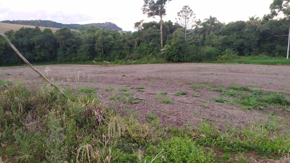 Fazenda à venda, 17m² - Foto 17