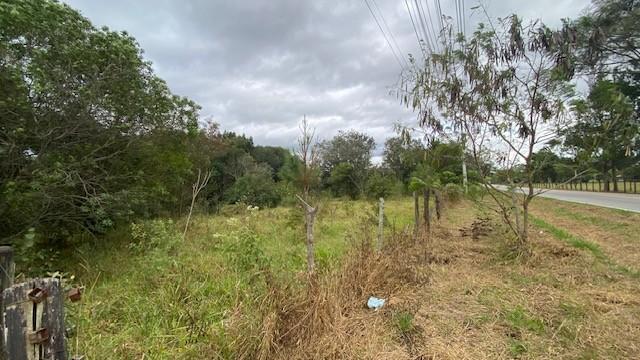 Terreno à venda, 10000m² - Foto 3