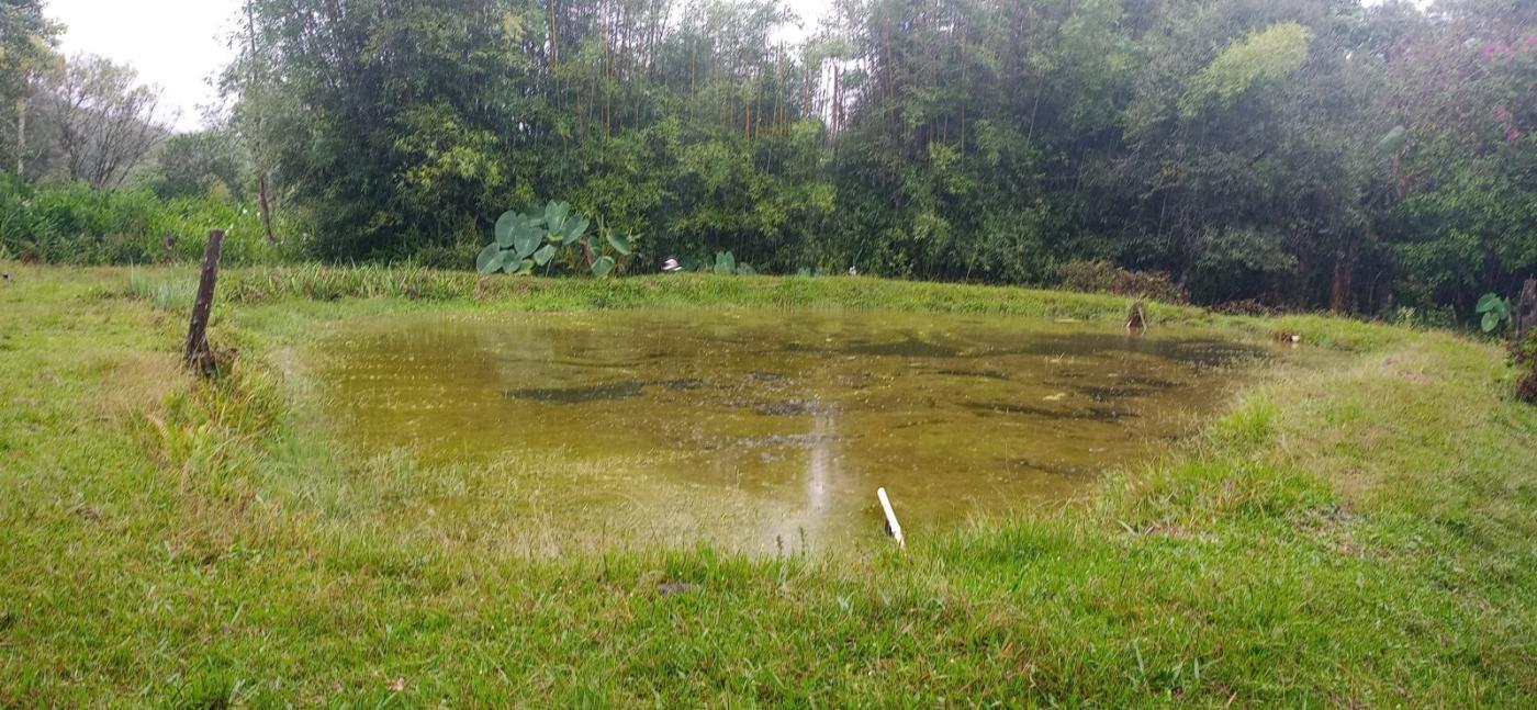 Loteamento e Condomínio, 7 hectares - Foto 2