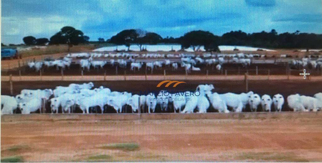 Fazenda à venda, 102800000M2 - Foto 1