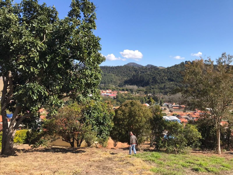 Fazenda à venda com 2 quartos, 80m² - Foto 3