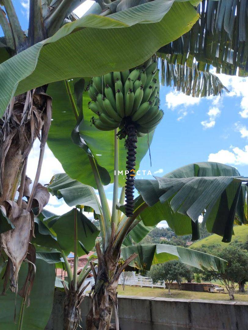 Chácara, 2 quartos, 660 m² - Foto 16