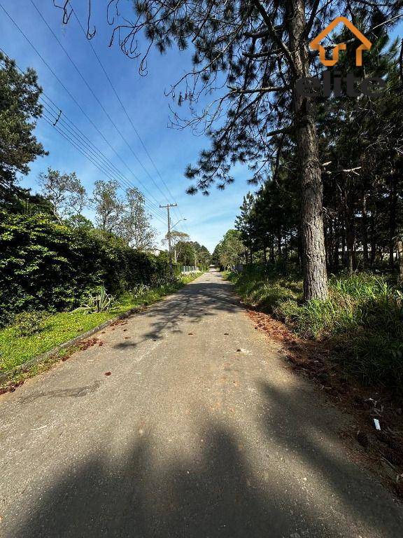 Terreno, 3001 m² - Foto 1