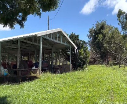 Fazenda à venda, 5m² - Foto 4