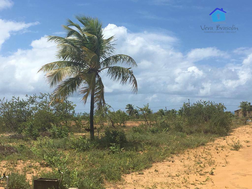 Loteamento e Condomínio à venda, 1000M2 - Foto 25